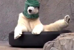 沙雕吃瓜爆料图片搞笑,爆笑瞬间，笑出腹肌！