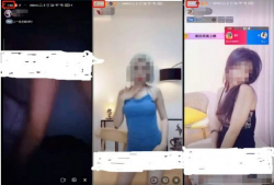 西欧黄色视频,内容、影响与反思