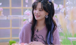 白鹿娱乐圈吃瓜直播,揭秘明星幕后故事，直播带你吃瓜不停歇