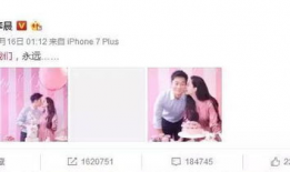 2016娱乐圈看图吃瓜,图解年度大瓜，笑料与泪点齐飞